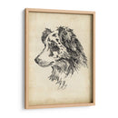 Estudios De Raza Xi - Ethan Harper | Cuadro decorativo de Canvas Lab