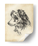 Estudios De Raza Xi - Ethan Harper | Cuadro decorativo de Canvas Lab