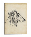 Estudios De Raza Xii - Ethan Harper | Cuadro decorativo de Canvas Lab