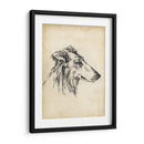 Estudios De Raza Xii - Ethan Harper | Cuadro decorativo de Canvas Lab