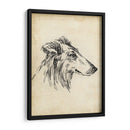 Estudios De Raza Xii - Ethan Harper | Cuadro decorativo de Canvas Lab