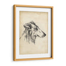 Estudios De Raza Xii - Ethan Harper | Cuadro decorativo de Canvas Lab