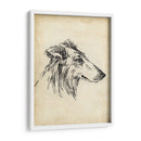 Estudios De Raza Xii - Ethan Harper | Cuadro decorativo de Canvas Lab