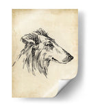 Estudios De Raza Xii - Ethan Harper | Cuadro decorativo de Canvas Lab