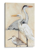 Acuarela Waterbirs I - Megan Meagher | Cuadro decorativo de Canvas Lab