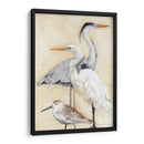 Acuarela Waterbirs I - Megan Meagher | Cuadro decorativo de Canvas Lab