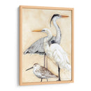 Acuarela Waterbirs I - Megan Meagher | Cuadro decorativo de Canvas Lab