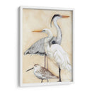 Acuarela Waterbirs I - Megan Meagher | Cuadro decorativo de Canvas Lab