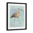 Acuarela Playa Pájaro Ii - Grace Popp | Cuadro decorativo de Canvas Lab