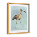 Acuarela Playa Pájaro Ii - Grace Popp | Cuadro decorativo de Canvas Lab