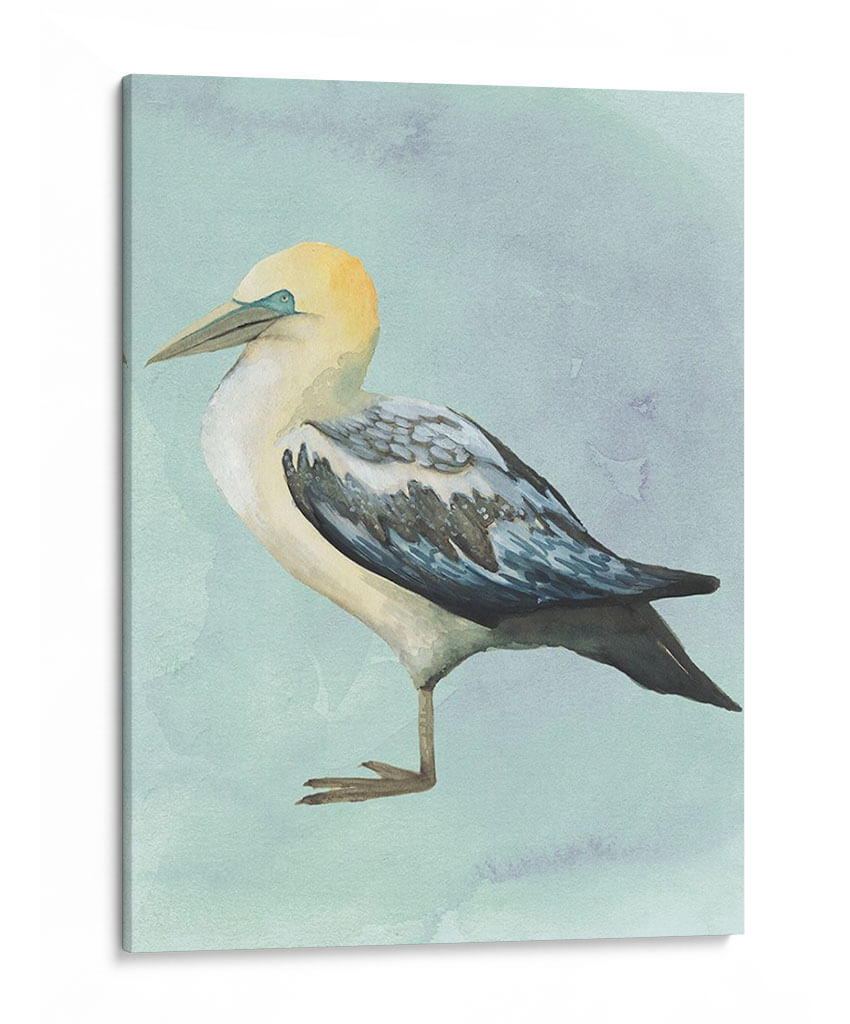 Acuarela Playa Pájaro Iii - Grace Popp | Cuadro decorativo de Canvas Lab