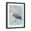 Acuarela Playa Pájaro Iii - Grace Popp | Cuadro decorativo de Canvas Lab