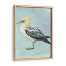 Acuarela Playa Pájaro Iii - Grace Popp | Cuadro decorativo de Canvas Lab