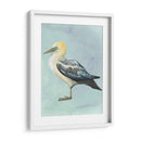 Acuarela Playa Pájaro Iii - Grace Popp | Cuadro decorativo de Canvas Lab