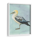 Acuarela Playa Pájaro Iii - Grace Popp | Cuadro decorativo de Canvas Lab