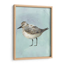 Acuarela Playa Pájaro V - Grace Popp | Cuadro decorativo de Canvas Lab