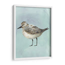 Acuarela Playa Pájaro V - Grace Popp | Cuadro decorativo de Canvas Lab