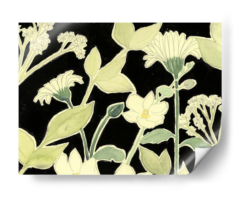 Flores De Noche Blanca I - Grace Popp | Cuadro decorativo de Canvas Lab