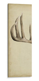 Tríptico Whitetail I - Grace Popp | Cuadro decorativo de Canvas Lab