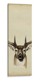 Tríptico Whitetail Ii - Grace Popp | Cuadro decorativo de Canvas Lab