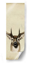 Tríptico Whitetail Ii - Grace Popp | Cuadro decorativo de Canvas Lab