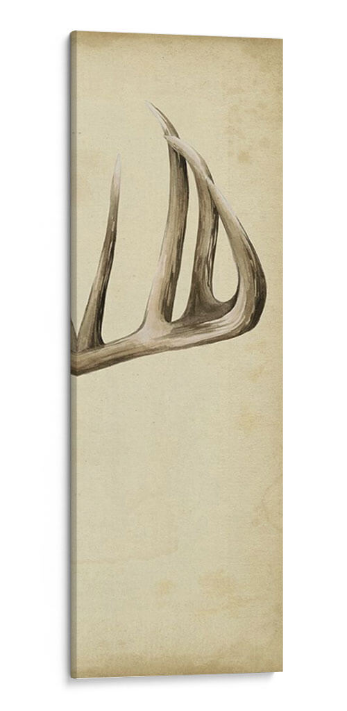Tríptico Whitetail Iii - Grace Popp | Cuadro decorativo de Canvas Lab