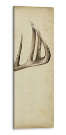 Tríptico Whitetail Iii - Grace Popp | Cuadro decorativo de Canvas Lab