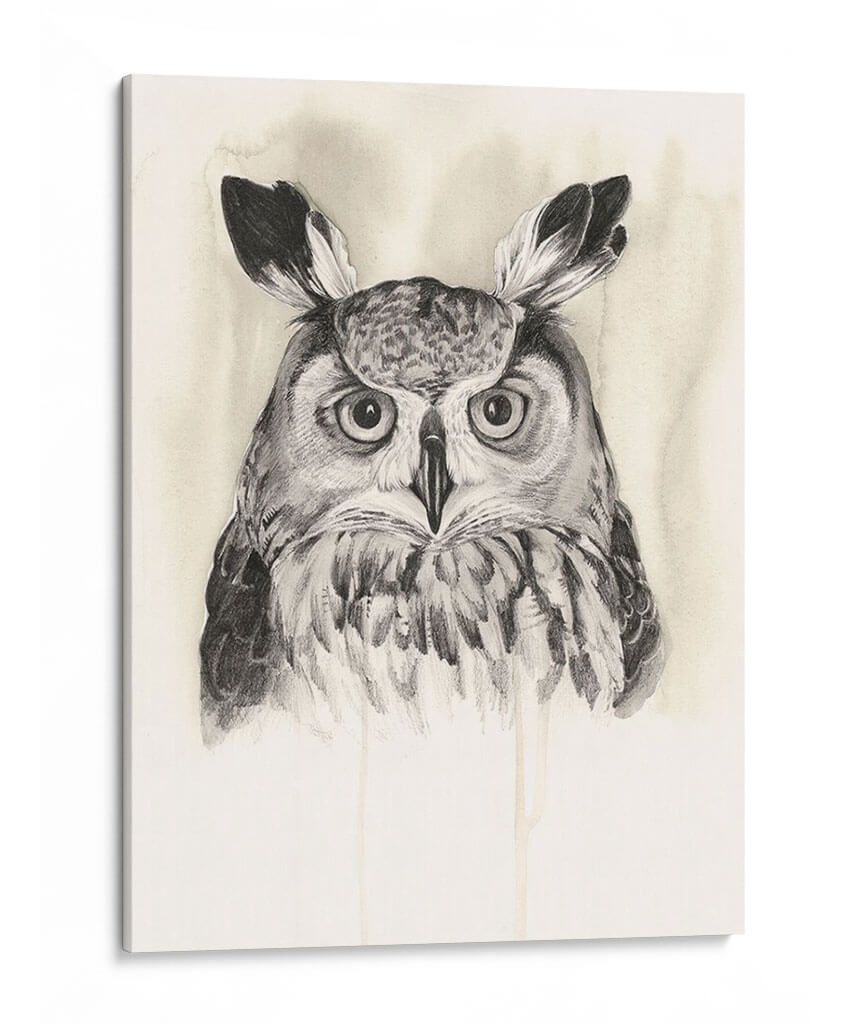 Animales Timberland Iii - Grace Popp | Cuadro decorativo de Canvas Lab