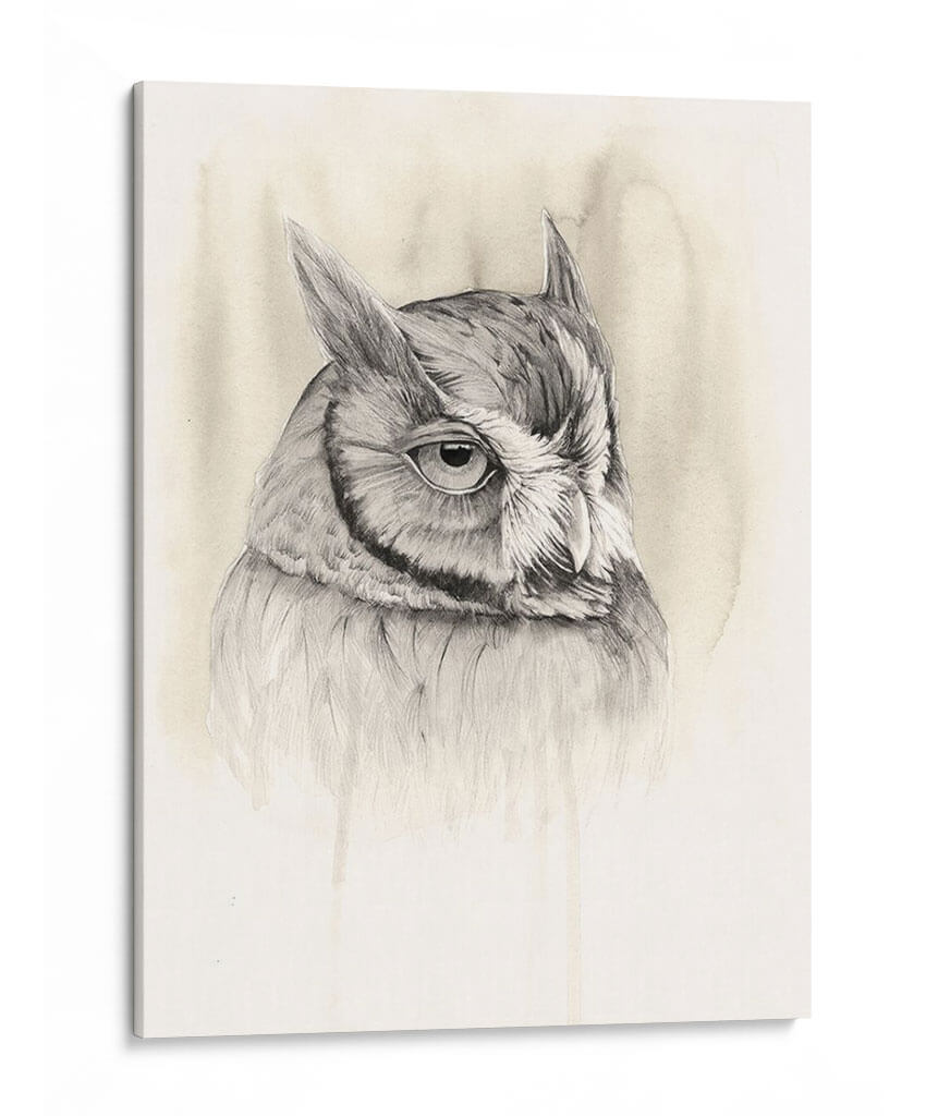 Timberland Animals Iv - Grace Popp | Cuadro decorativo de Canvas Lab