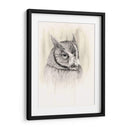 Timberland Animals Iv - Grace Popp | Cuadro decorativo de Canvas Lab