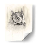 Timberland Animals Iv - Grace Popp | Cuadro decorativo de Canvas Lab