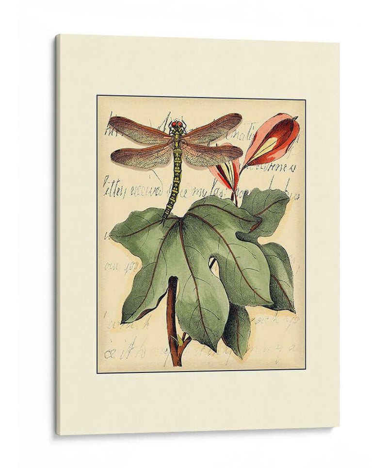 Dragonflies Petite Ii - Vision Studio | Cuadro decorativo de Canvas Lab