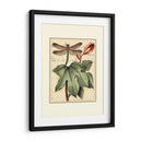 Dragonflies Petite Ii - Vision Studio | Cuadro decorativo de Canvas Lab