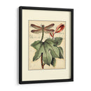 Dragonflies Petite Ii - Vision Studio | Cuadro decorativo de Canvas Lab