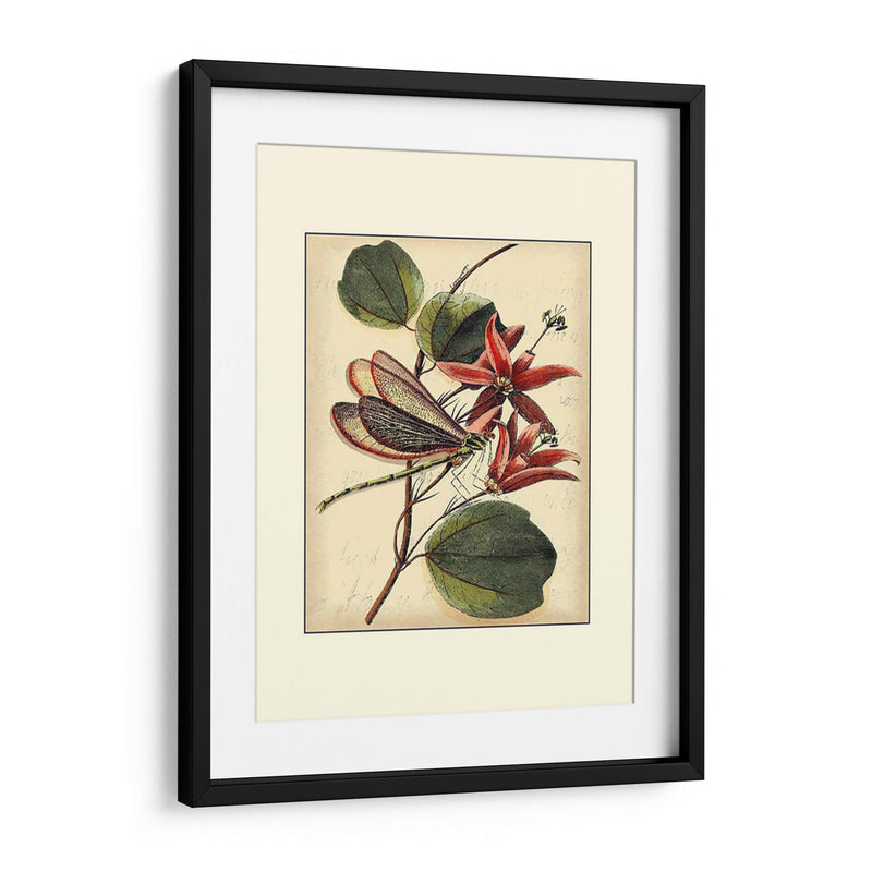 Dragonflies Petite Iii - Vision Studio | Cuadro decorativo de Canvas Lab