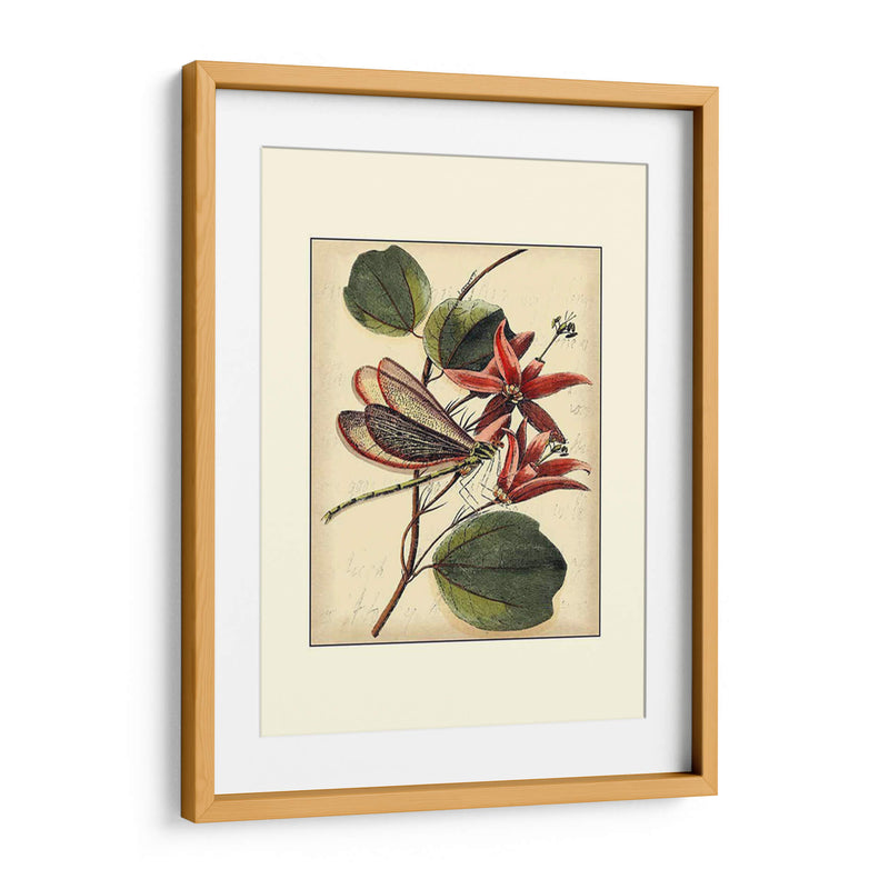 Dragonflies Petite Iii - Vision Studio | Cuadro decorativo de Canvas Lab