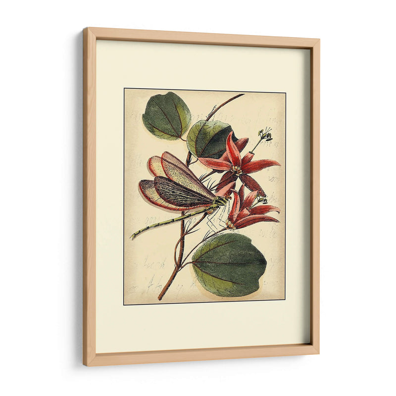 Dragonflies Petite Iii - Vision Studio | Cuadro decorativo de Canvas Lab