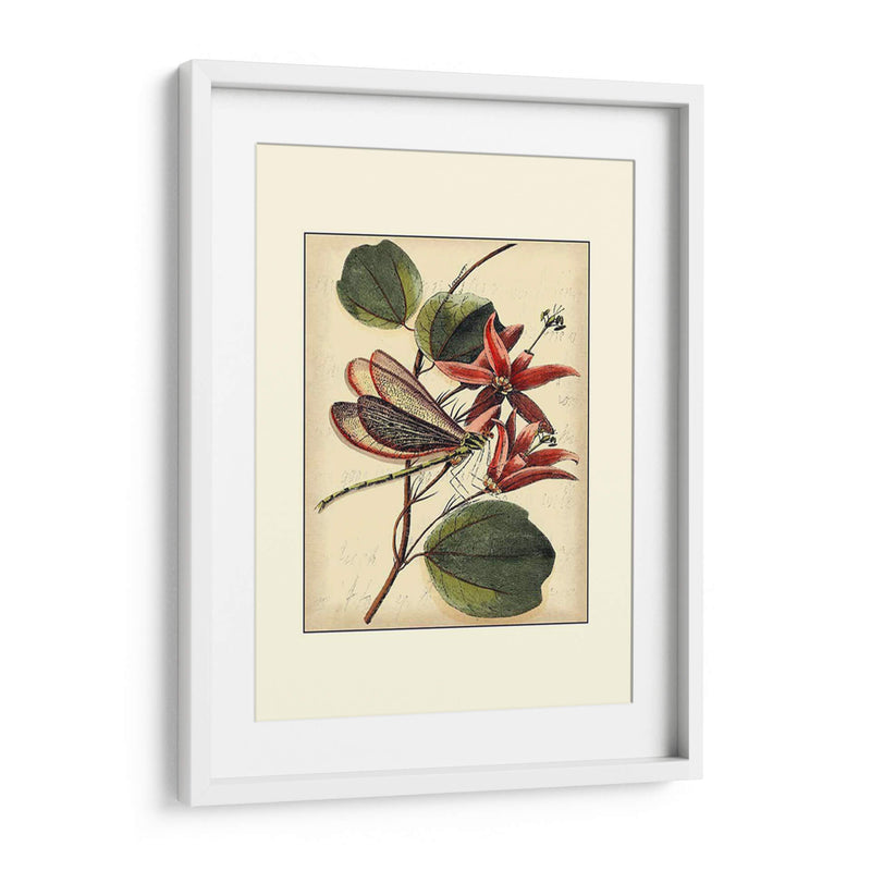 Dragonflies Petite Iii - Vision Studio | Cuadro decorativo de Canvas Lab