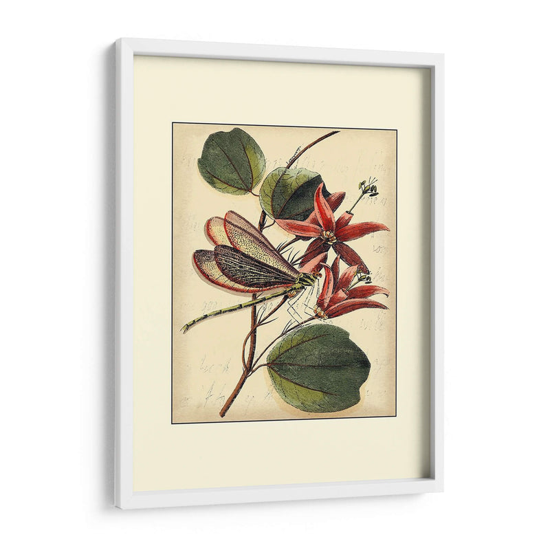 Dragonflies Petite Iii - Vision Studio | Cuadro decorativo de Canvas Lab