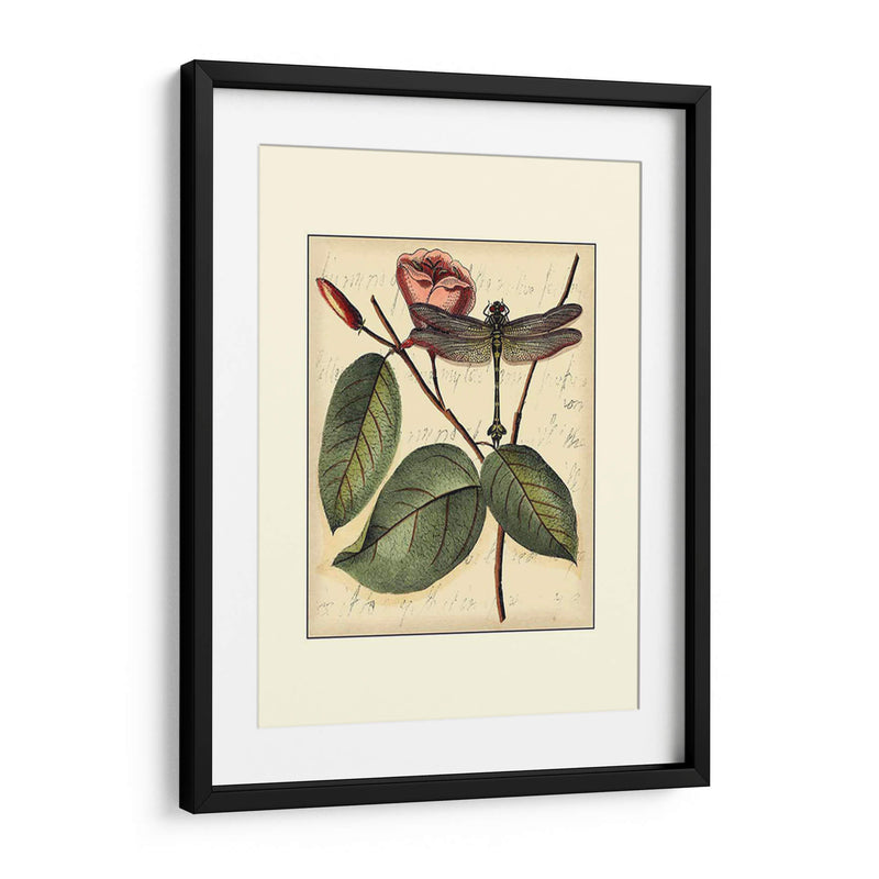 Dragonflies Petite Iv - Vision Studio | Cuadro decorativo de Canvas Lab