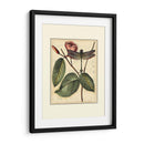 Dragonflies Petite Iv - Vision Studio | Cuadro decorativo de Canvas Lab