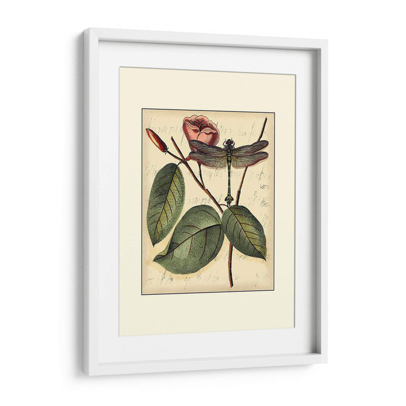 Dragonflies Petite Iv - Vision Studio | Cuadro decorativo de Canvas Lab