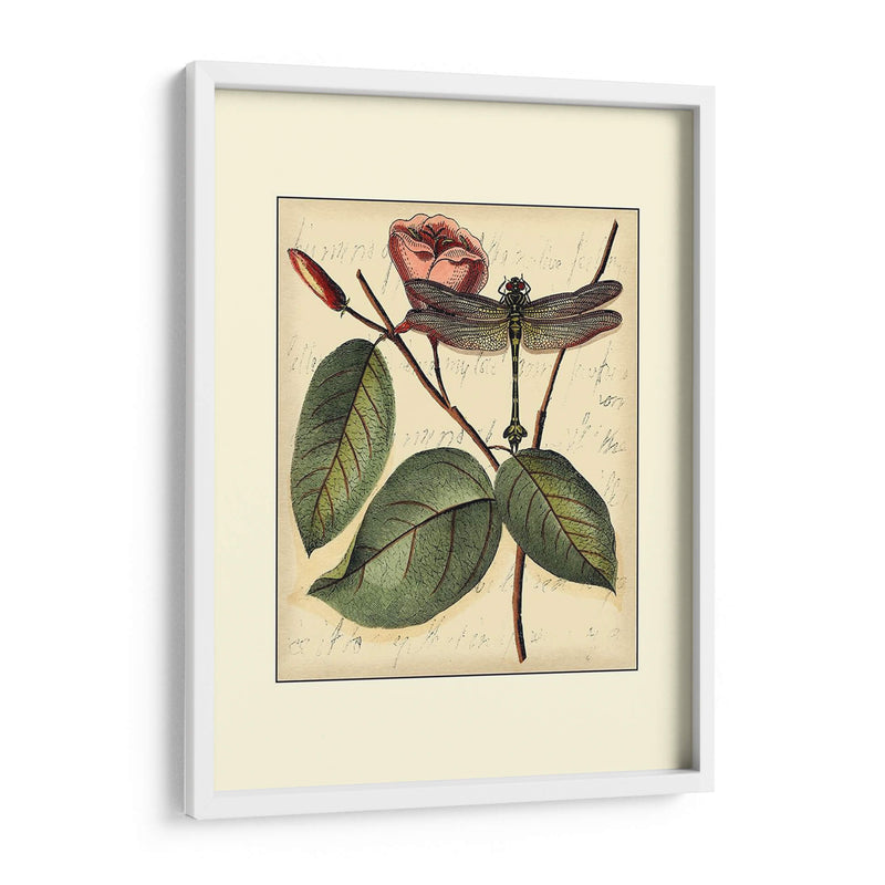 Dragonflies Petite Iv - Vision Studio | Cuadro decorativo de Canvas Lab