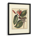 Dragonflies Petite V - Vision Studio | Cuadro decorativo de Canvas Lab