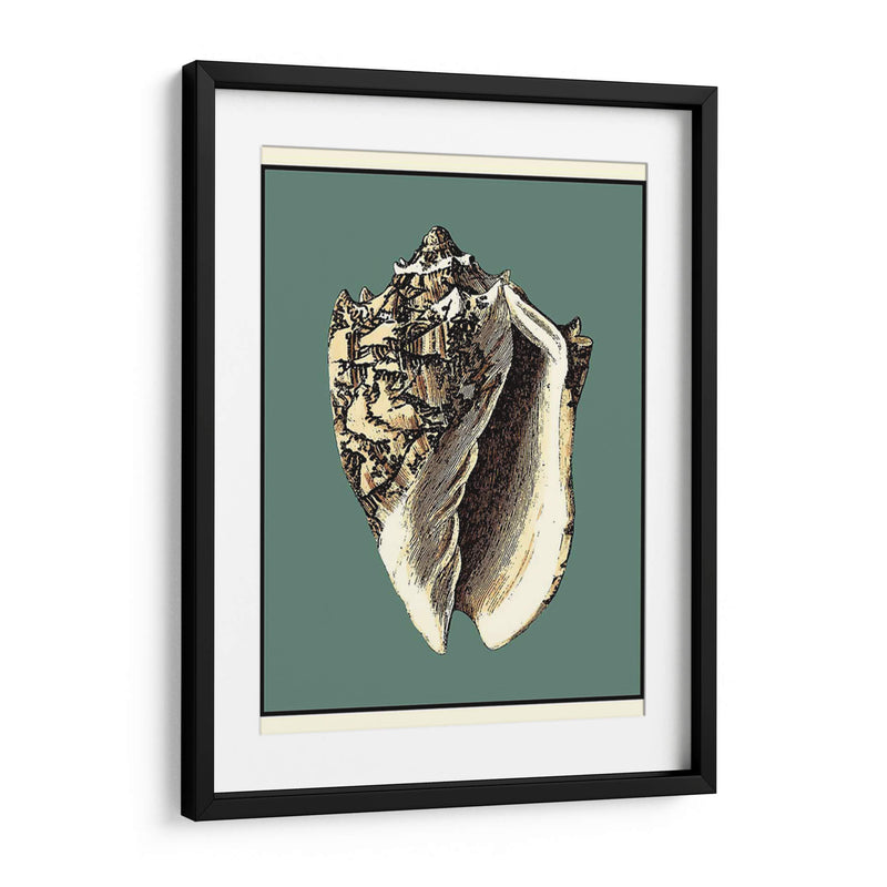 Oceans Treasure I - Vision Studio | Cuadro decorativo de Canvas Lab