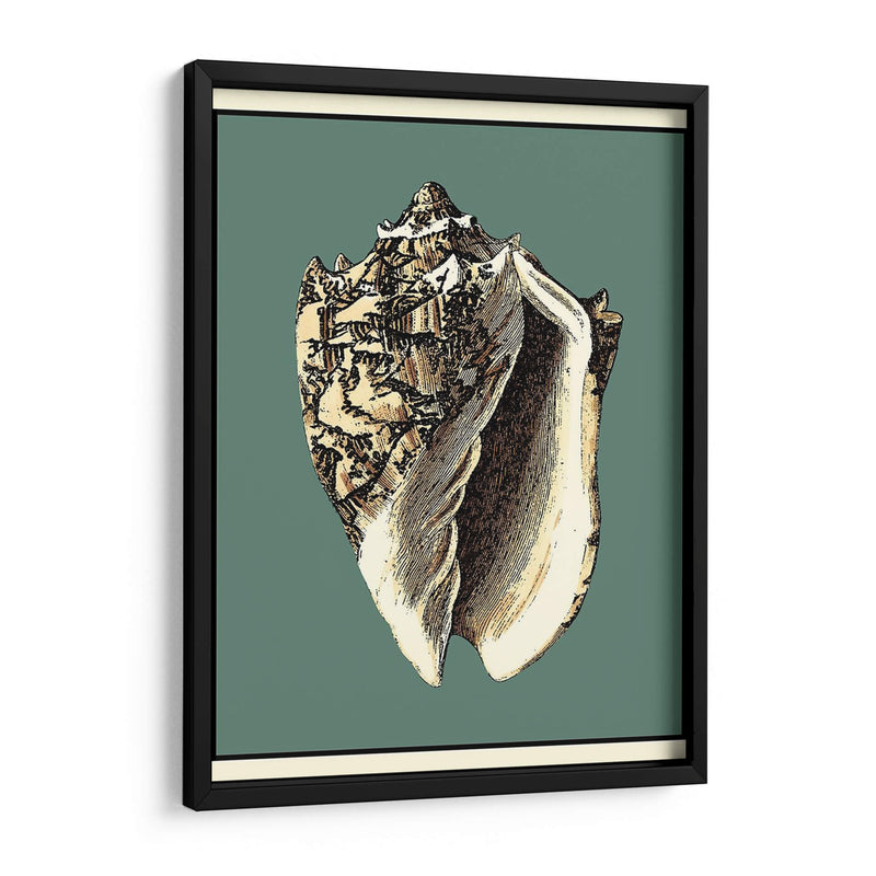 Oceans Treasure I - Vision Studio | Cuadro decorativo de Canvas Lab