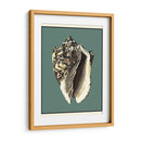 Oceans Treasure I - Vision Studio | Cuadro decorativo de Canvas Lab