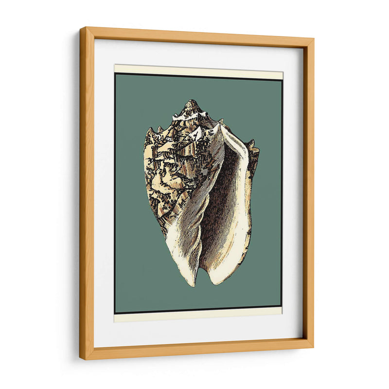 Oceans Treasure I - Vision Studio | Cuadro decorativo de Canvas Lab