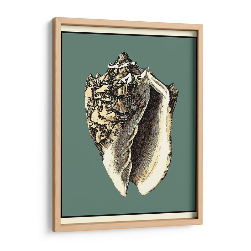 Oceans Treasure I - Vision Studio | Cuadro decorativo de Canvas Lab