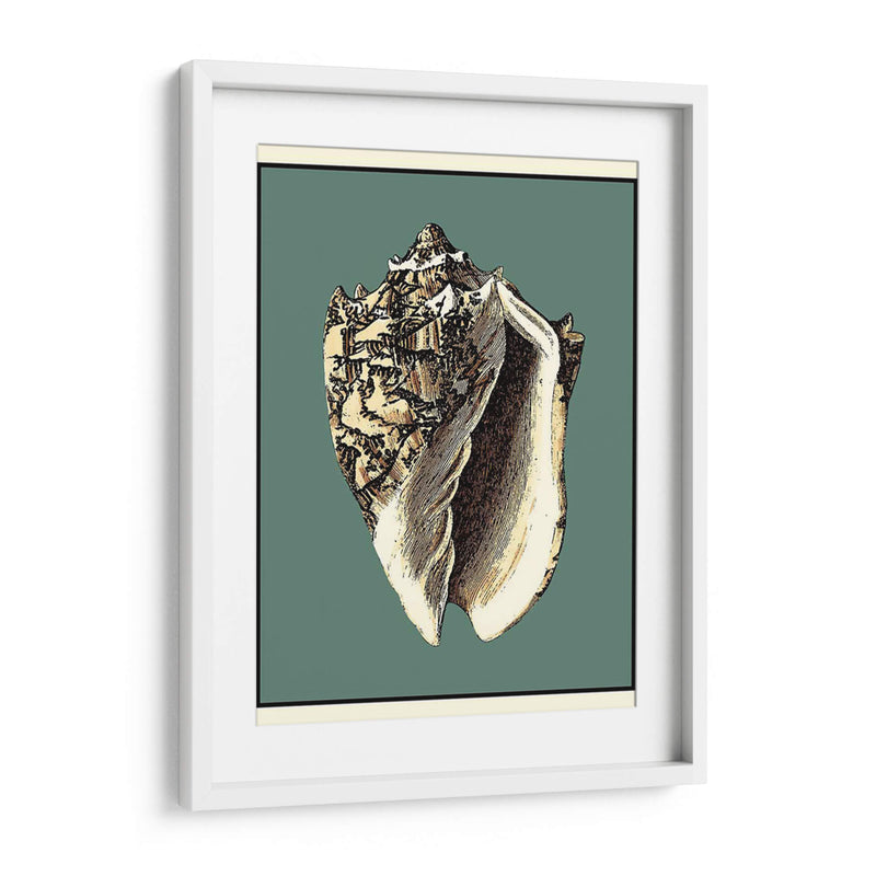 Oceans Treasure I - Vision Studio | Cuadro decorativo de Canvas Lab